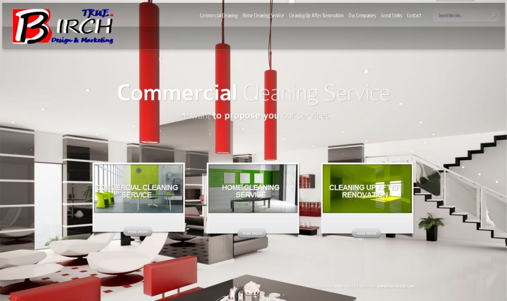 Cleaning Service - www